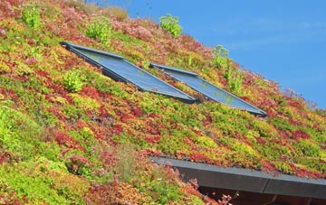 Stillingfleet living roof systems